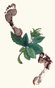 Naturspur By Ellen Gorzelany